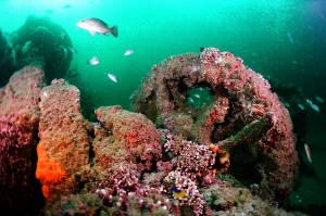 008 a huge deck winch