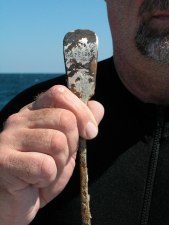 018 Big Mike found this silver serving spoon