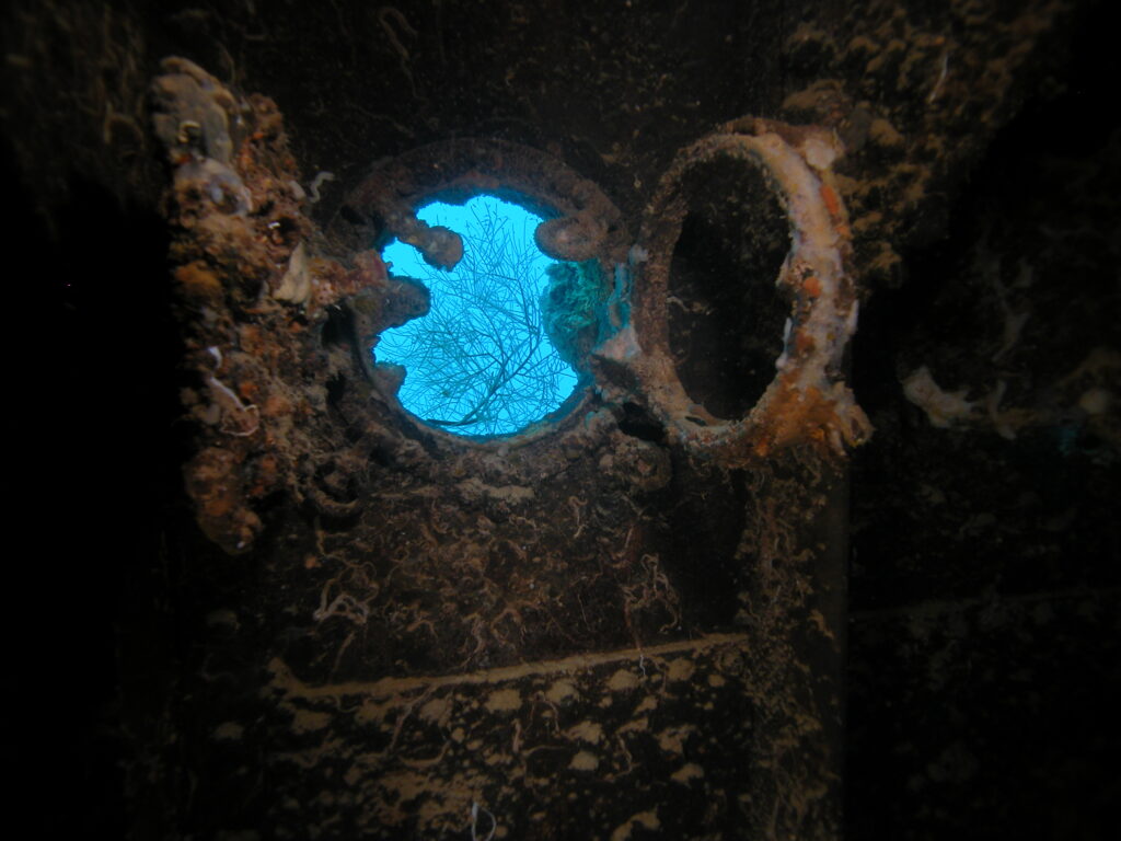 Palau Wreck Diving