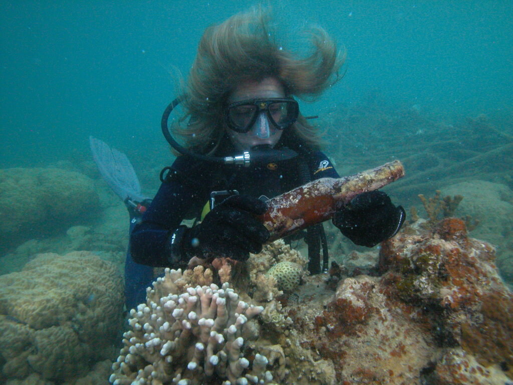 Palau Wreck Diving