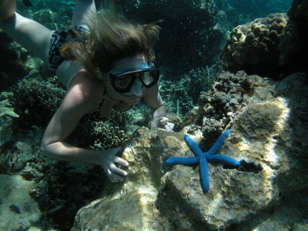 Palau Wreck Diving