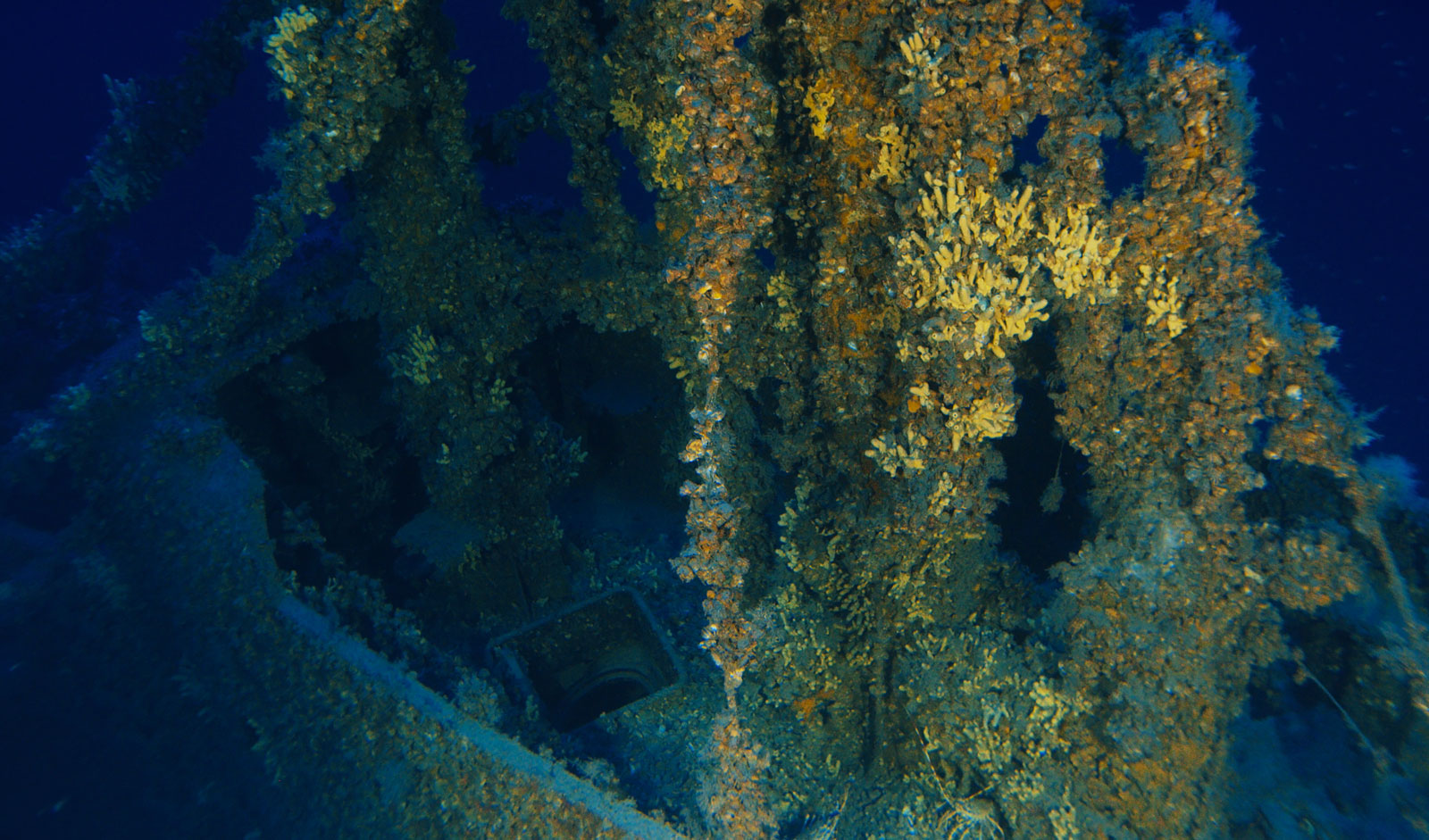 wreck of the olympus