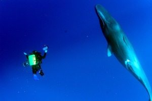 2007 Dominca  diving with Forest Gaithier, John Chatterton and Jeff Bozanic