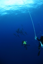 2008 Dry Tortugas with Mike Barnette  1