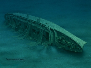 2 Andrea Doria 1991 Courtesy of Ken Marschall.jpg