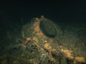 U869 Forward torpedo loading hatch.