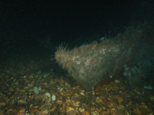 U869 The tip of the bow, (upper section is broken away)
