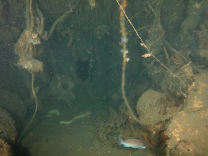 U869 View inside the conning tower, attack periscope on the left.