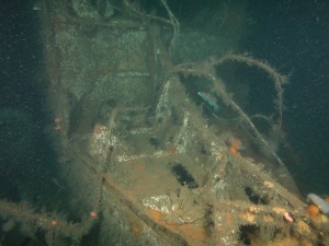 U869