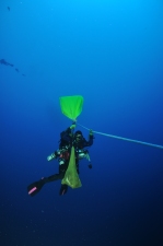 Araby Maid Danny Martinez bagging a porthole