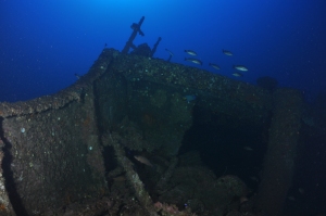 Rhein the forecastle