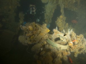 Evan and Compass unknown Maru